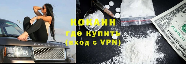 соль ск Абаза