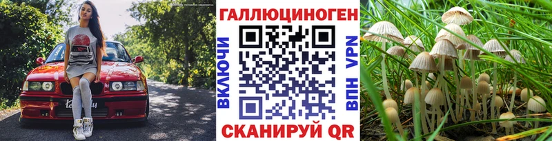 Галлюциногенные грибы Psilocybine cubensis  купить   Подпорожье 